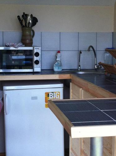 a kitchen with a white refrigerator and a microwave at The Fishermans Net House in Bigauņciems
