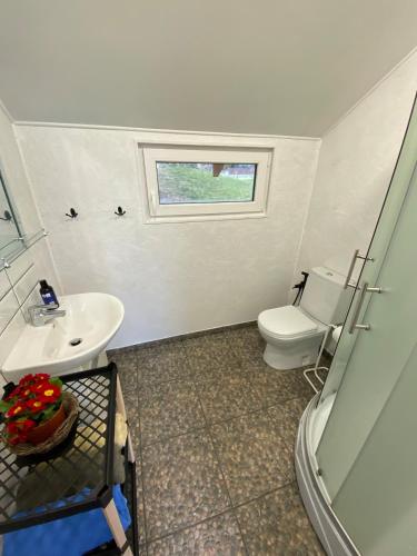 a bathroom with a toilet and a sink and a window at The Fishermans Net House in Bigauņciems
