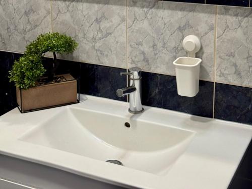 - un lavabo avec robinet et plante en pot dans l'établissement The Fig Tree Apartment, à Aglantzia