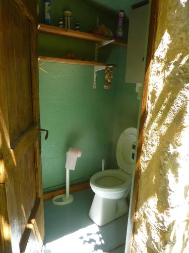 - une salle de bains avec toilettes dans une pièce verte dans l'établissement Jolie longère en pleine nature, à Prayssac