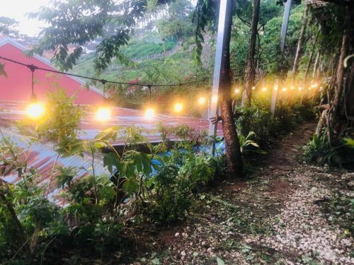 Taman di luar ChillZone Homestay