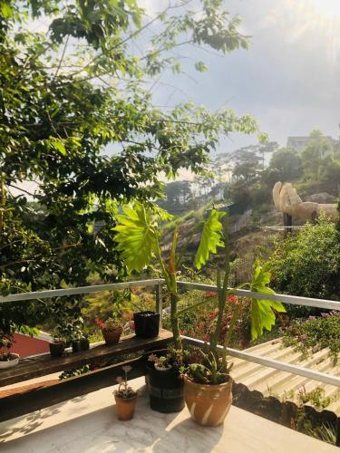 Taman di luar ChillZone Homestay
