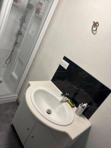 a bathroom with a white sink and a shower at Studio in Graulhet