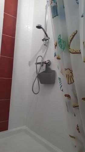 La salle de bains est pourvue d'une douche avec rideau de douche. dans l'établissement St Cyprien T2 3 etoiles lumineux a 200m de la plage, à Saint-Cyprien