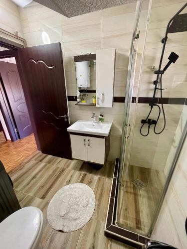 a bathroom with a shower and a sink and a toilet at MyHOME Apartment in Struga