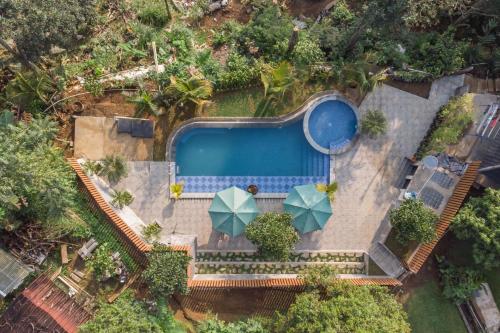 an overhead view of a swimming pool with umbrellas at Selayang Oribu - Cabin on the Mountain in Ciburayut