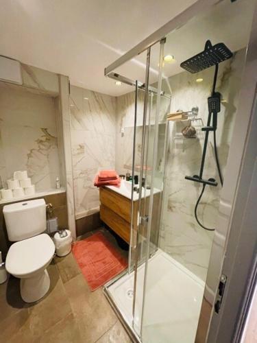 une salle de bain avec une douche, des toilettes et un lavabo dans l'établissement City break in old center Aix!, à Aix-en-Provence