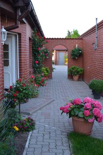 Zahrada ubytování Ferienwohnung in Lancken-Granitz