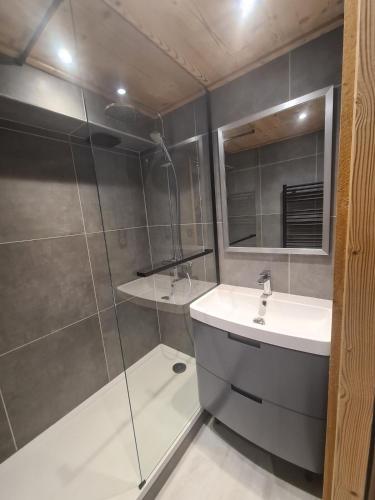 une salle de bain avec un lavabo et une douche en verre dans l'établissement Silveralp Cosy Apartment 6 people, à Val Thorens