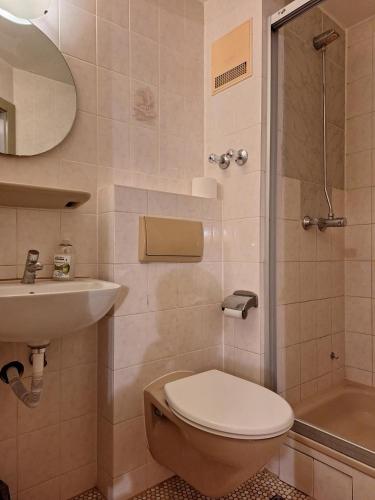 a bathroom with a toilet and a sink and a shower at 2-Rent Group Hostel Rooms AUB162 in Munich