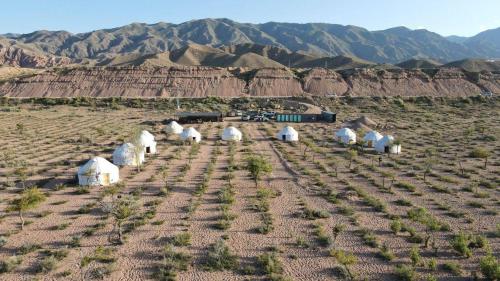 a group of white domes in the middle of a field at AiSun Eco Yurt Camp in Tossor