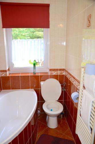 a bathroom with a toilet and a sink and a window at Penzion Pod Boubínem in Kubova Huť
