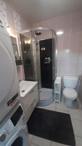 a bathroom with a shower and a toilet and a sink at Le trio virtonnais, appart 7 personnes au coeur de la gaume in Virton