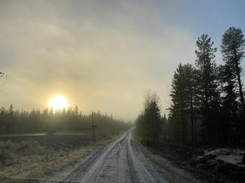 Природа в окрестностях шале