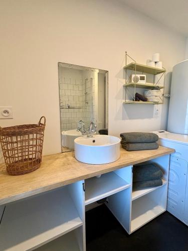 une salle de bain avec un lavabo et un miroir dans l'établissement La Maisonnette, à Templeuve