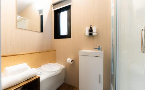 a bathroom with a toilet and a sink and a mirror at Weka Pass Cottages 4 by Tiny Away in Waikari