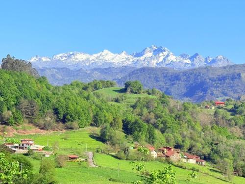 a green field with mountains in the background at El Portiellu in Cabielles
