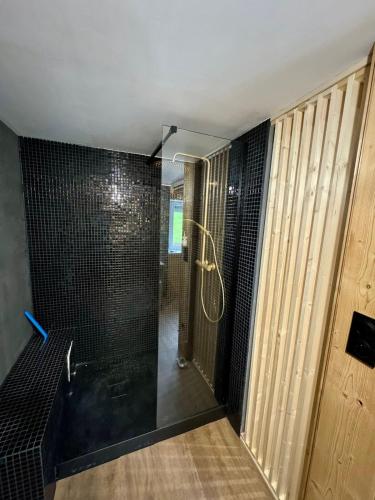 Bagno di Appartement ambiance chalet avec vidéo-projecteur