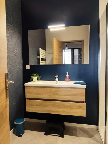 a bathroom with a sink and a mirror at Le Familia in Guer