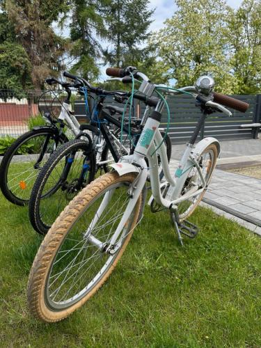 two bikes parked on the grass in a park at dom nad rzeka in Nysa