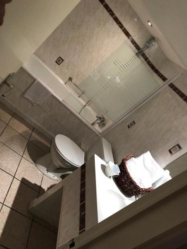 an overhead view of a bathroom with a toilet at Hotel Cosy Bouillon in Bouillon