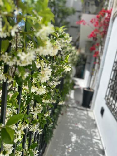 a row of white flowers on a fence at Athenian Coastal Urban Living in Athens