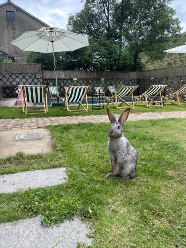 Ospiti di La Petronilla Boutique Hotel Moganshan con animali domestici