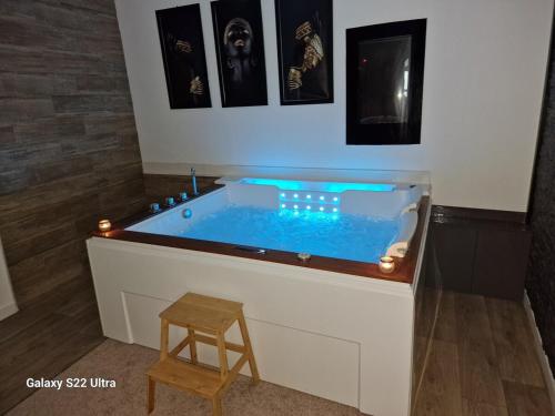 d'une baignoire avec de l'eau bleue. dans l'établissement Agréable Appartement, à Toulouse
