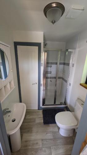 a bathroom with a toilet and a sink and a shower at Lynstone Lakes in Bude