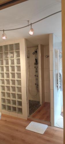 La salle de bains est pourvue d'une douche et d'une paroi en verre. dans l'établissement Le loft, à Bar-sur-Aube