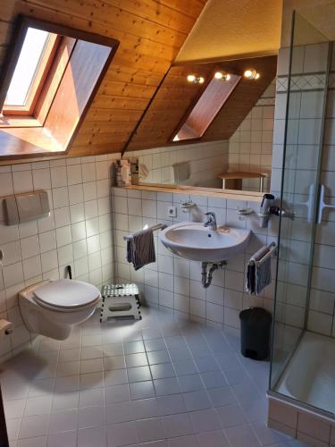 a bathroom with a sink and a toilet and a window at Hotel Klett B&B in Langenargen