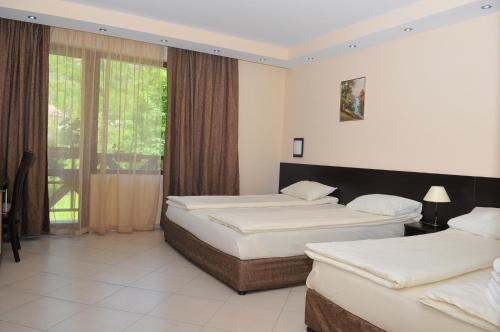 Family Hotel Delta في أوجنيانوفو: غرفة فندقية بسريرين ونافذة