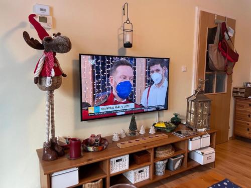 TV a/nebo společenská místnost v ubytování Spital Am Semmering Apartment - Stuhleck