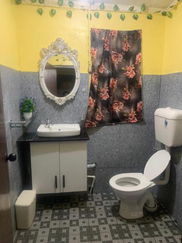 a bathroom with a toilet and a sink and a mirror at Comfortable Accommodation in Lautoka