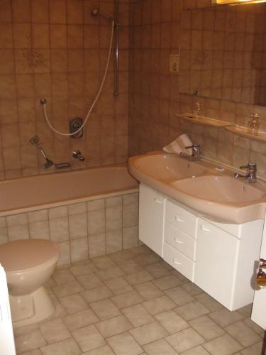 a bathroom with a sink and a tub and a toilet at Landgasthof zur Linde in Heimbuchenthal
