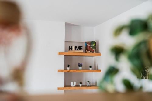 a shelf with plants and books in a room at MD Horizon with private Jacuzzi near the beach in Anissaras