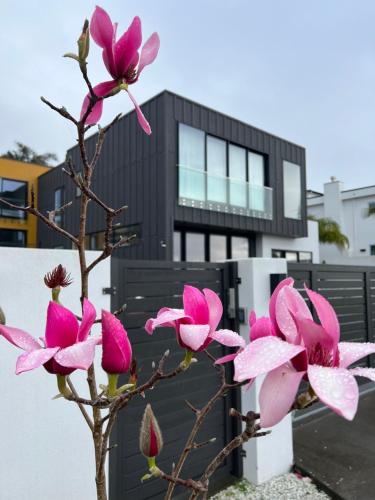 ein Baum mit rosa Blüten vor einem Gebäude in der Unterkunft Auckland Luxury Seafront House in Auckland