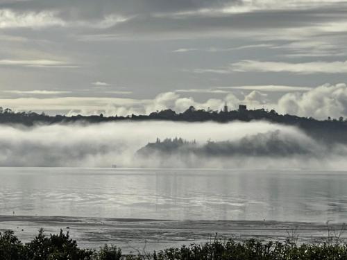 Blick auf ein Gewässer mit Nebel auf dem Wasser in der Unterkunft Auckland Luxury Seafront House in Auckland