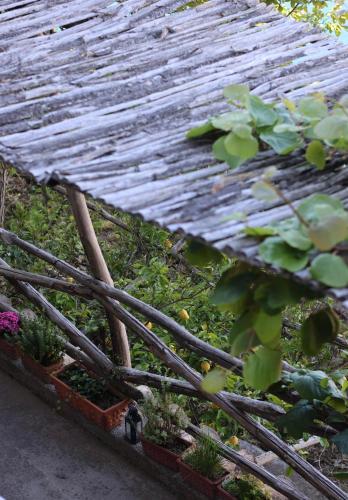 a wooden bench with some plants on it at Colle dell'Ara in Positano