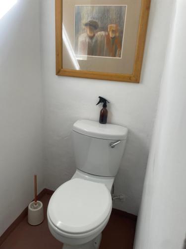 a bathroom with a toilet with a picture on the wall at Kelp Cottage in Gansbaai
