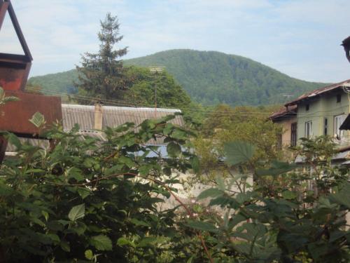 a view of the mountains from a house at Sadiba Pri Dorogi in Kosiv