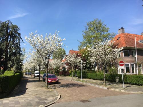 Bližnja soseska oz. soseska, v kateri se nahaja apartma