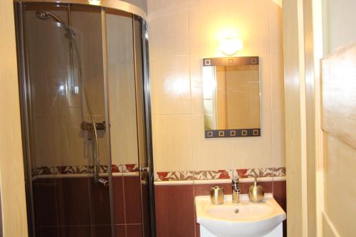 a bathroom with a sink and a shower with a mirror at Pokoje Gościnne Сisza in Białowieża