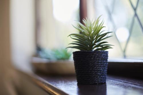 a plant sitting on a table next to a window at Hayy Luxury Retreat At The Lodge in Bradford