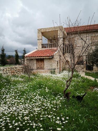 a field of white flowers in front of a building at Hoyran Wedre Country Houses in Davazlar