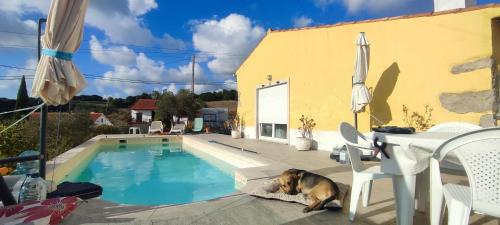 a dog laying on a patio next to a swimming pool at Kyrios Arts Atelier with use of private swimming pool in Carrascal