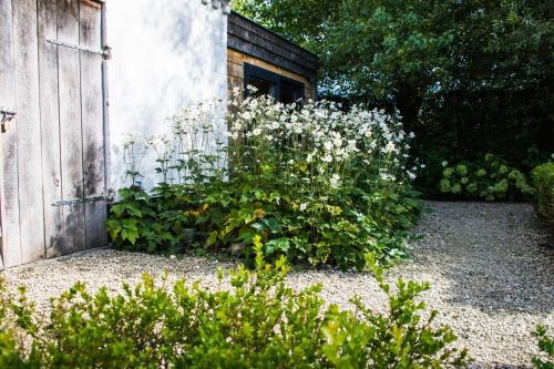 a garden with white flowers next to a wooden door at Stee 23 in Hertsberge