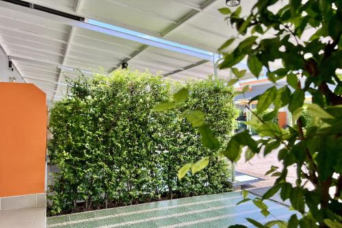 a large green hedge in a building at Full House Udon in Ban Bo Nam