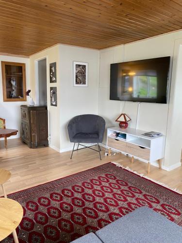 a living room with a tv and a chair and a rug at 2BR Home with Sea Views and Parking - Tórshavn in Tórshavn