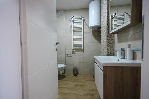 a small bathroom with a sink and a toilet at Apartman Anika Banja Koviljača in Banja Koviljača